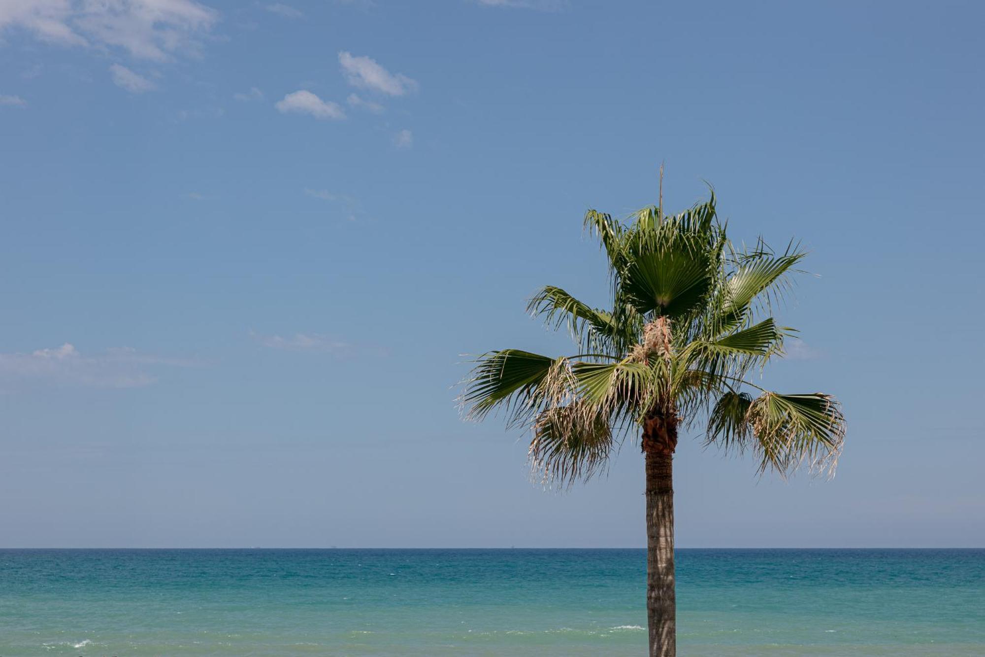 King'S Rooms Termoli Luaran gambar